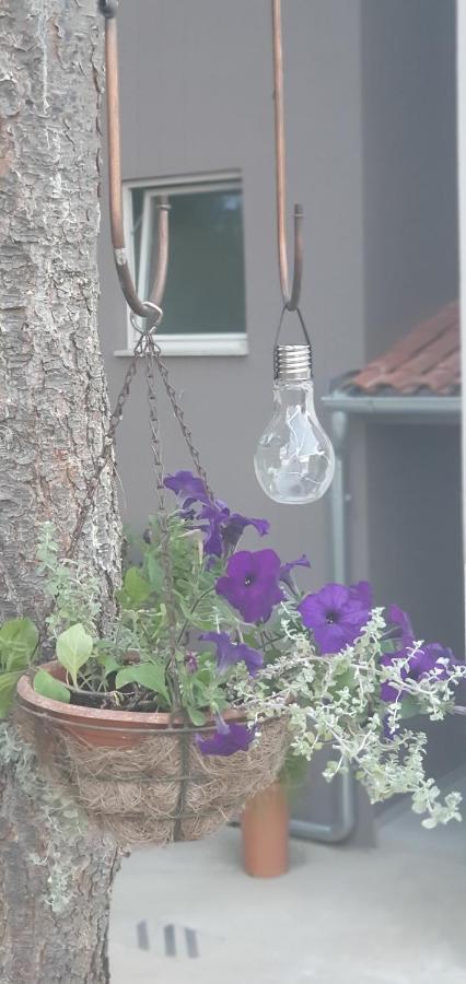 Apartman Tika Pula Luaran gambar